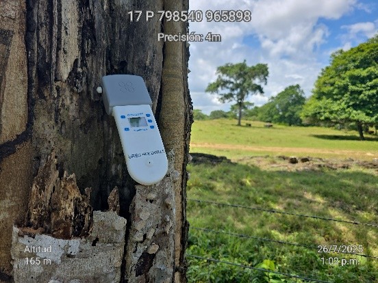 Equipo de monitoreo ambiental de UREC HOLDING instalado en tronco de árbol en campo